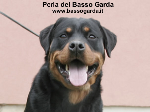 Perla